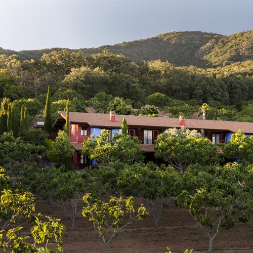 casarural-bosque